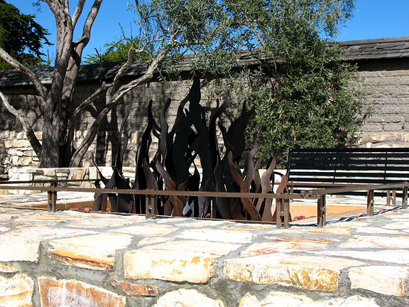 Flames Fire Pit and Guard