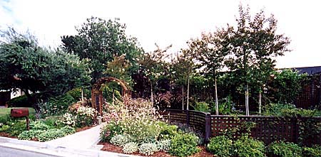 Arbor with Fencing