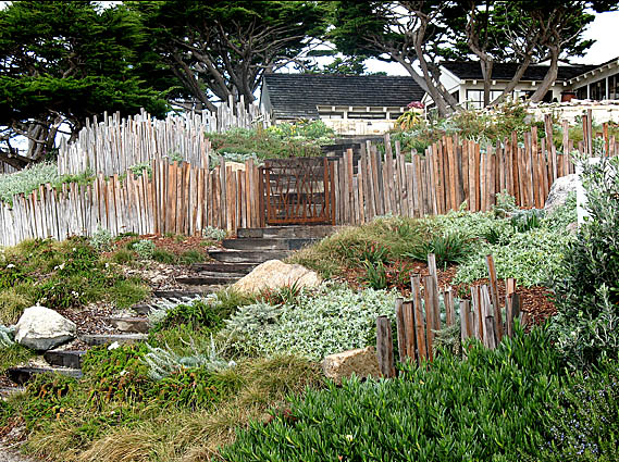 Twisted Grasses Gate