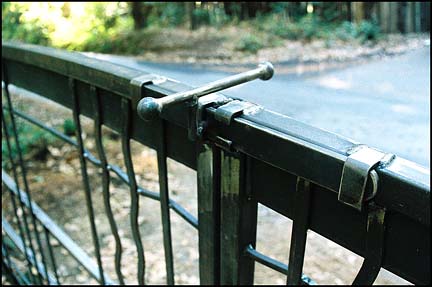 Fence and Gate in the Woods