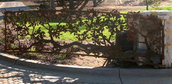 Oak Gate, RIght Side