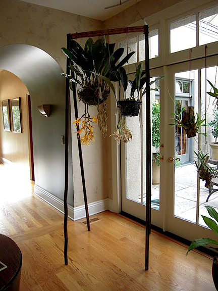 Orchid Ladder