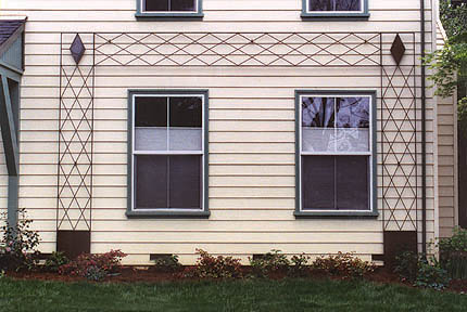 Harlequin trellis detail