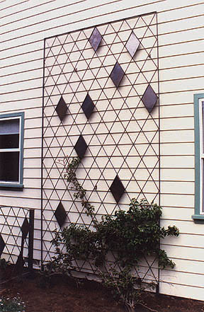 Harlequin side trellis