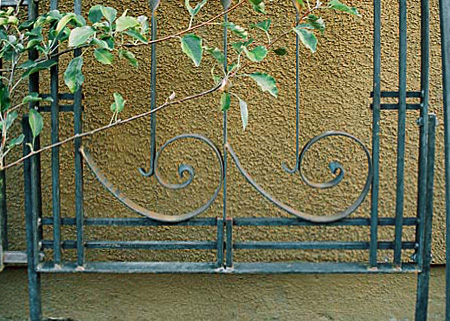 Trellis detail